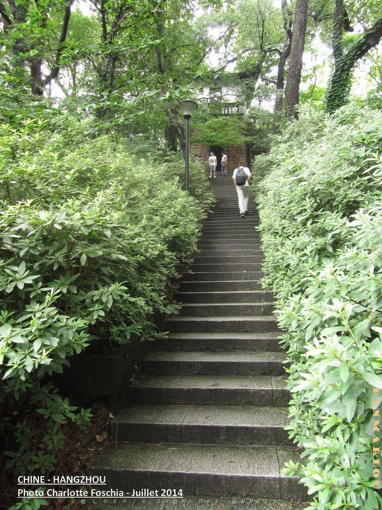 Charlotte- Hangzhou 007.JPG -                                